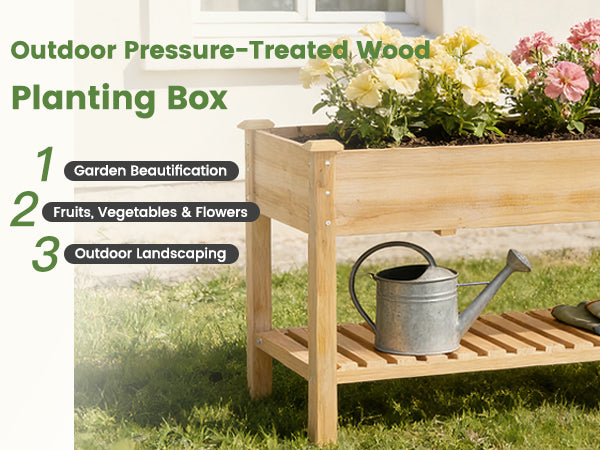 [variant:W3686P439295] Two-Tier Wooden Raised Garden Bed with Shelves image 13