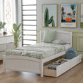 [variant:N850P475817K] Twin Platform Bed with 2 Storage Drawers – White image 1