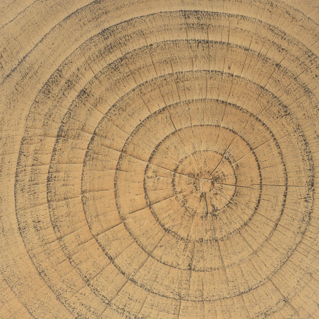[variant:N911P479293N] Natural image 11