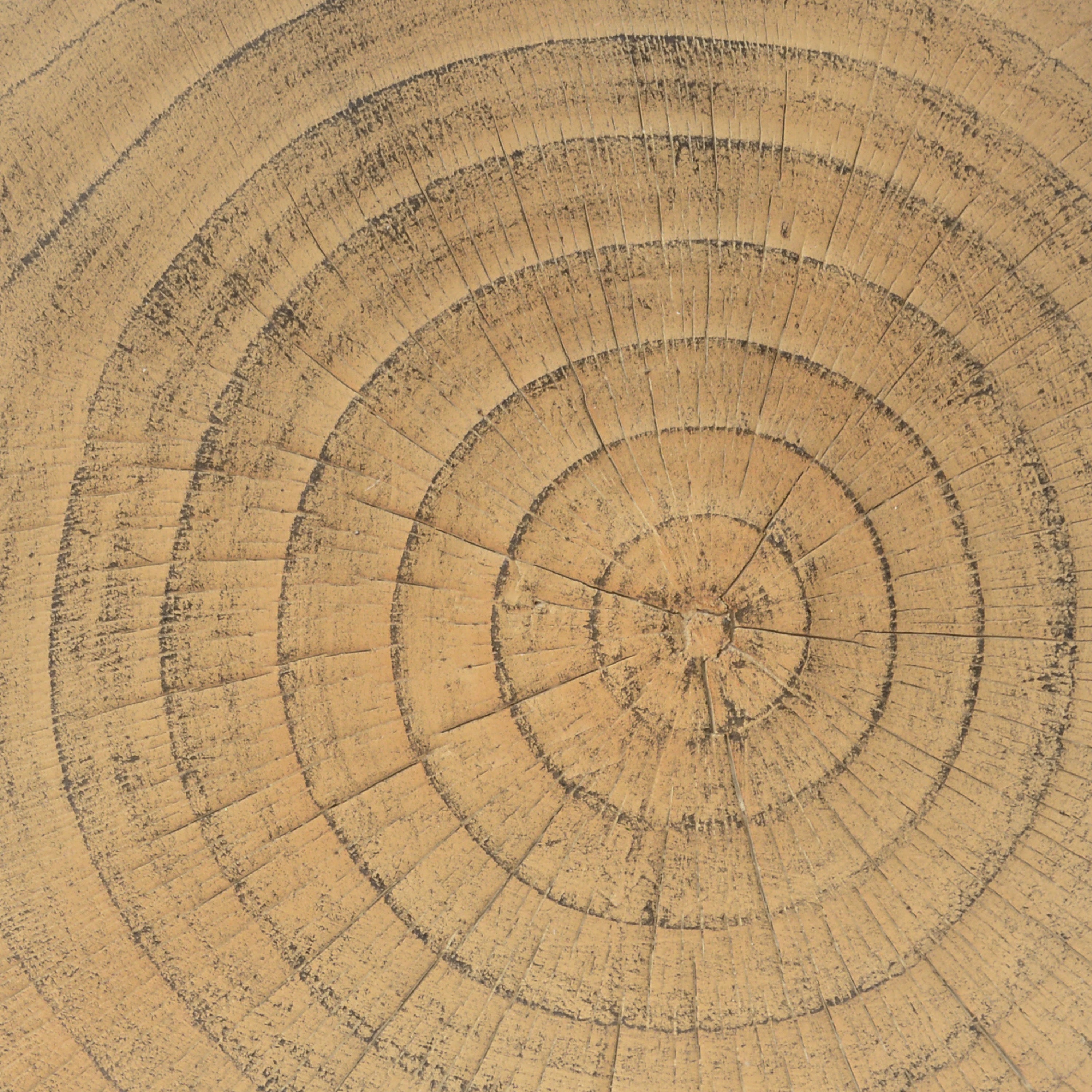 [variant:N911P479293N] Natural image 11
