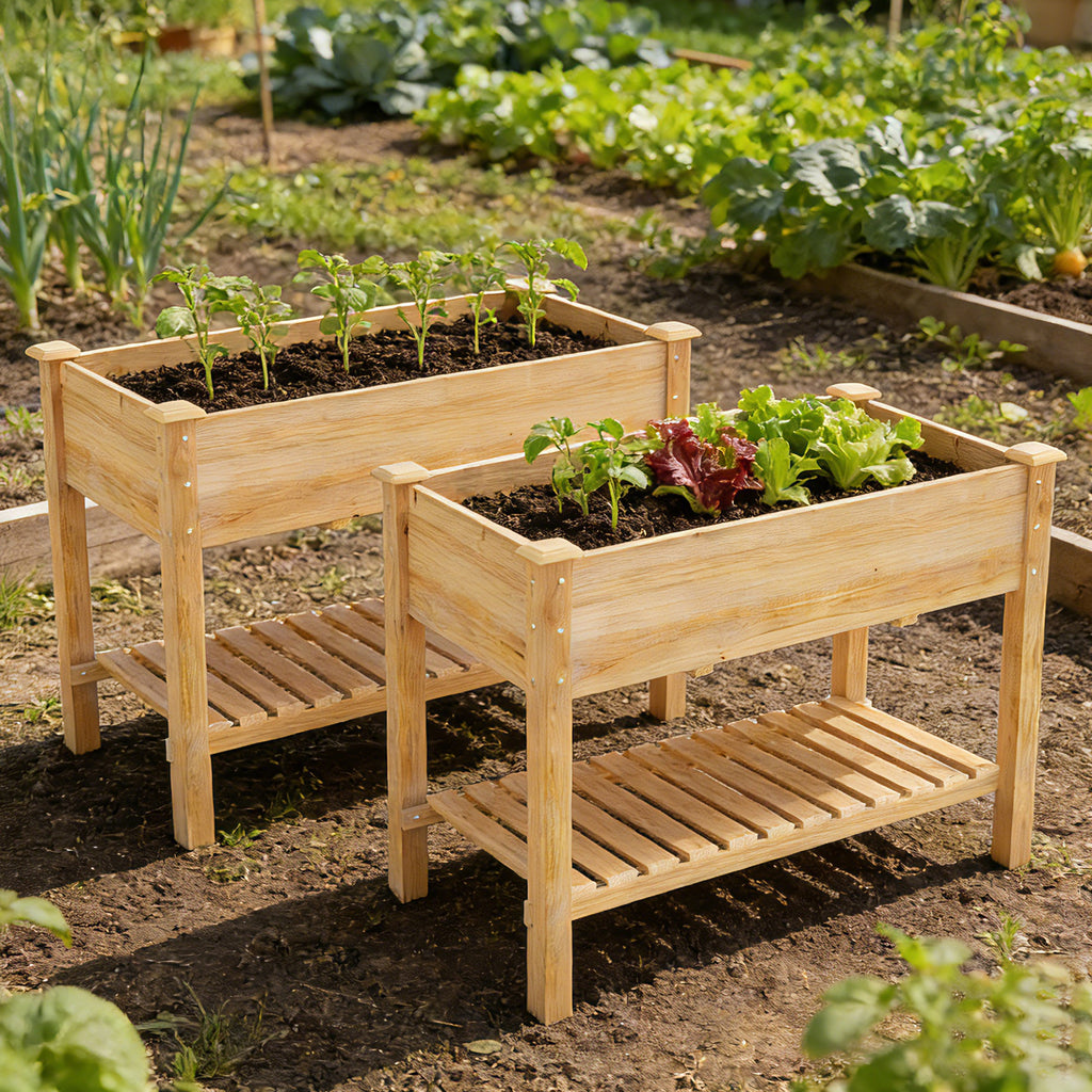 [variant:W3686P439295] Two-Tier Wooden Raised Garden Bed with Shelves image 6
